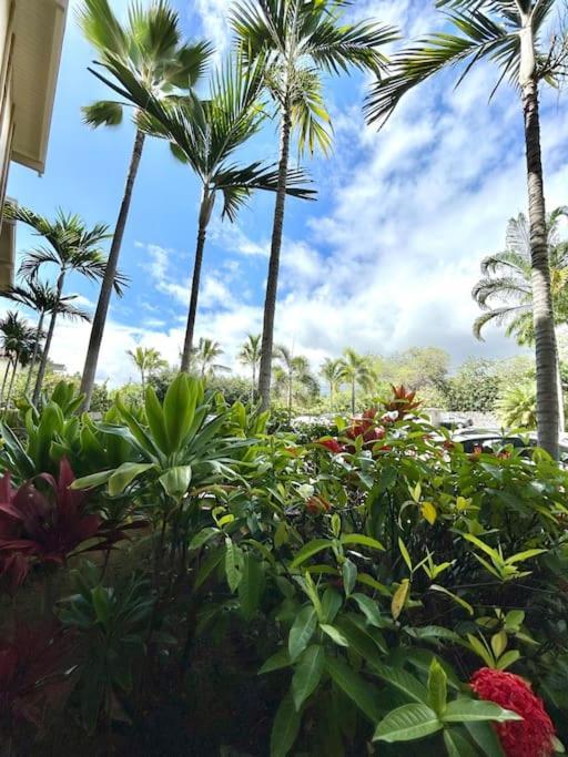 Amazing Condo Peaks Of Ocean View On Ali'I Dr By Surf Spots Kailua-Kona Ngoại thất bức ảnh